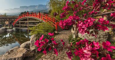 Японский сад "Шесть чувств" в отеле "Мрия"