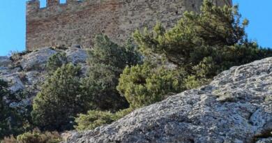 Экскурсия из Севастополя: По следам итальянцев в страну Солнца : Судак и Нов фото 16178