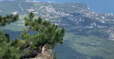 Гранд-тур по горе Ай-Петри и морская прогулка в Ялте - Авто-пешеходная экскурсия