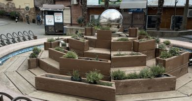 Локация во время экскурсии: Гурзуф