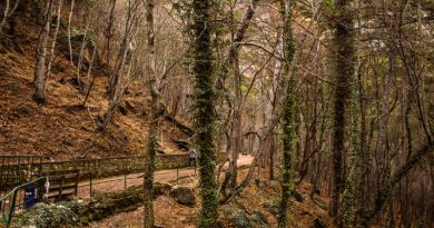 Панорамный вид: Водопад Учан-Су
