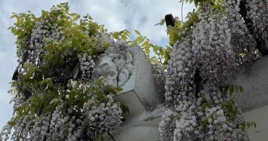 Туристическая достопримечательность — Верхний парк Никитский ботанический сад.