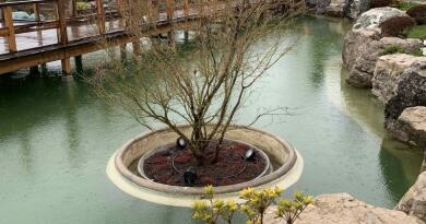 Визуальное знакомство с локацией: Японский сад "Шесть чувств" Мрия