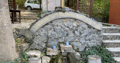 Вид на объект: Топловский женский монастырь