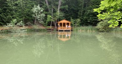 Гранд-тур по горе Ай-Петри и морская прогулка в Ялте - Авто-пешеходная экскурсия