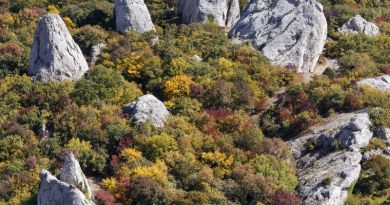 Экскурсии в `Храм Солнца, «Крымский Стоунхендж»` из Балаклавы