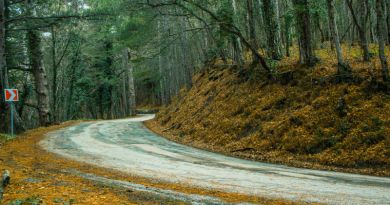Вид на объект: Дорога на Ай Петри